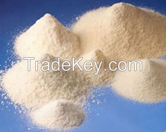 Milk Powder