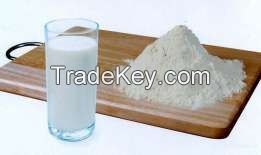 milk powder