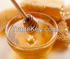  100% pure polyflora bee honey for healthy and beauty packed in honey jar 