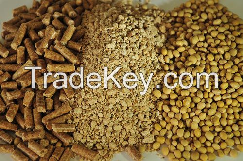 Soybean meal