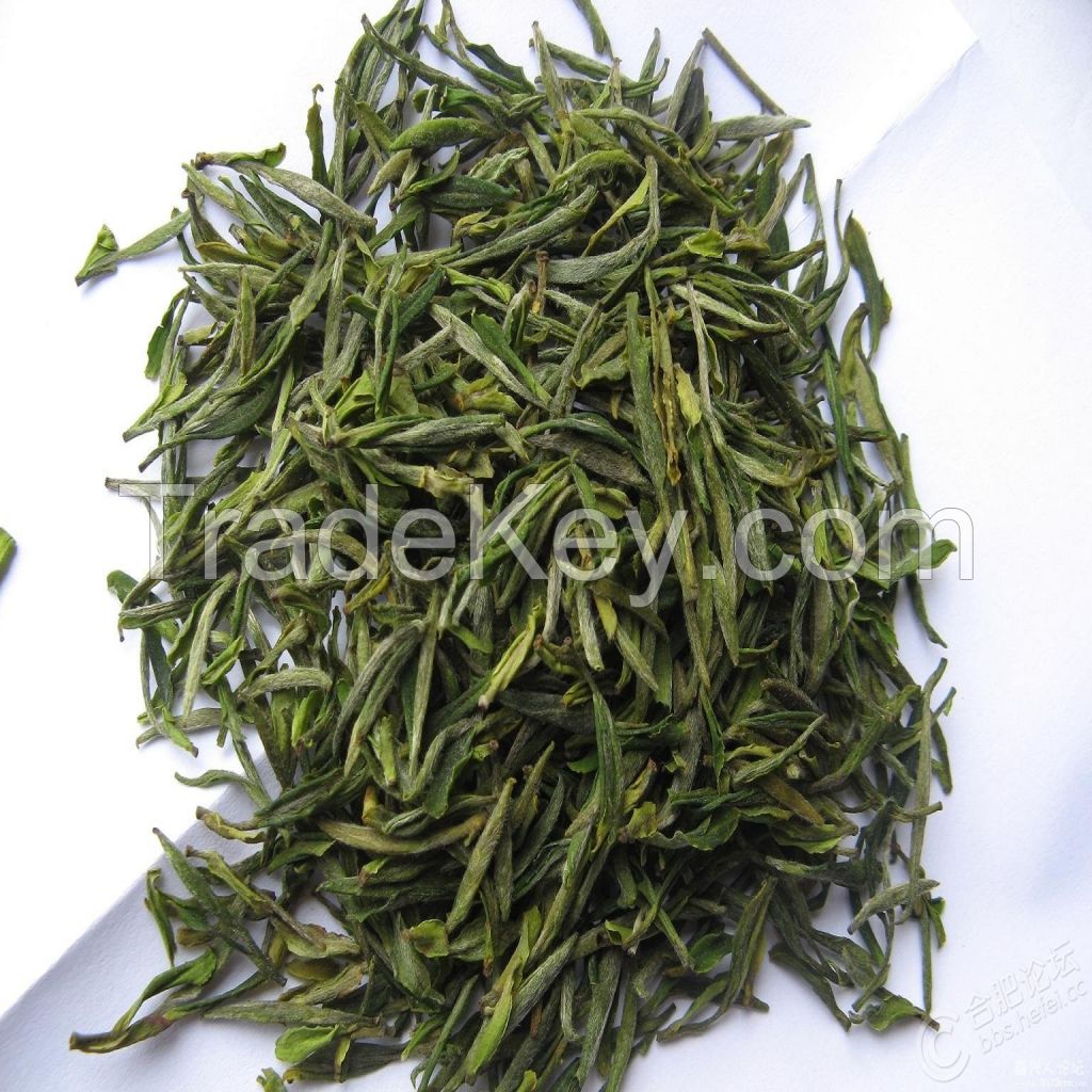 Chines Hot Sale of Loose Green Tea Maofeng Grade 2