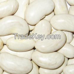 Large white kidney beans 