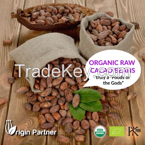 ORGANIC RAW CACAO BEANS