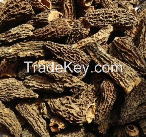 Dried Morchella Esculenta