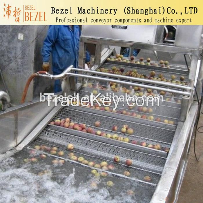 Vegetable washing conveyor