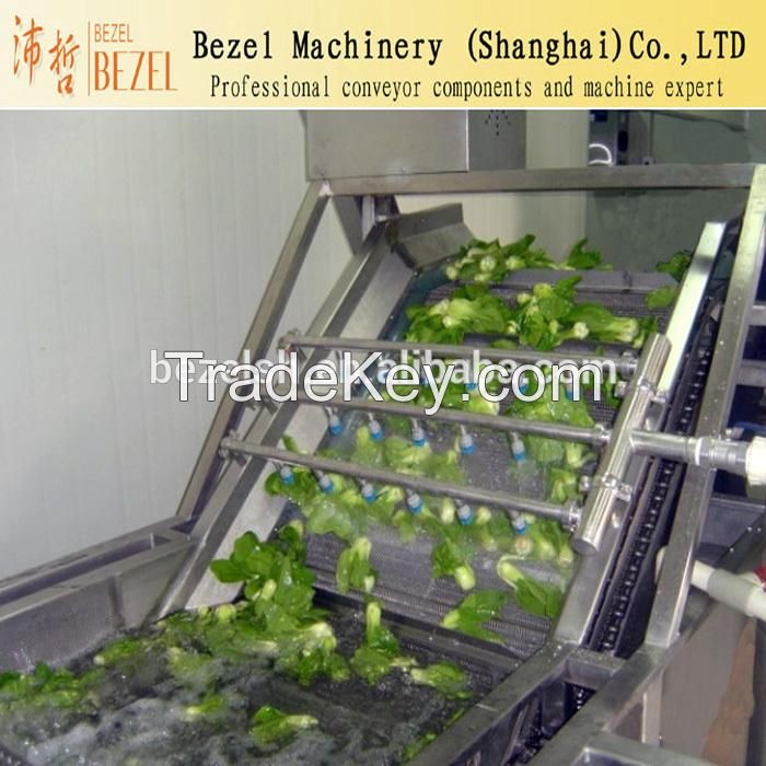 Vegetable washing conveyor
