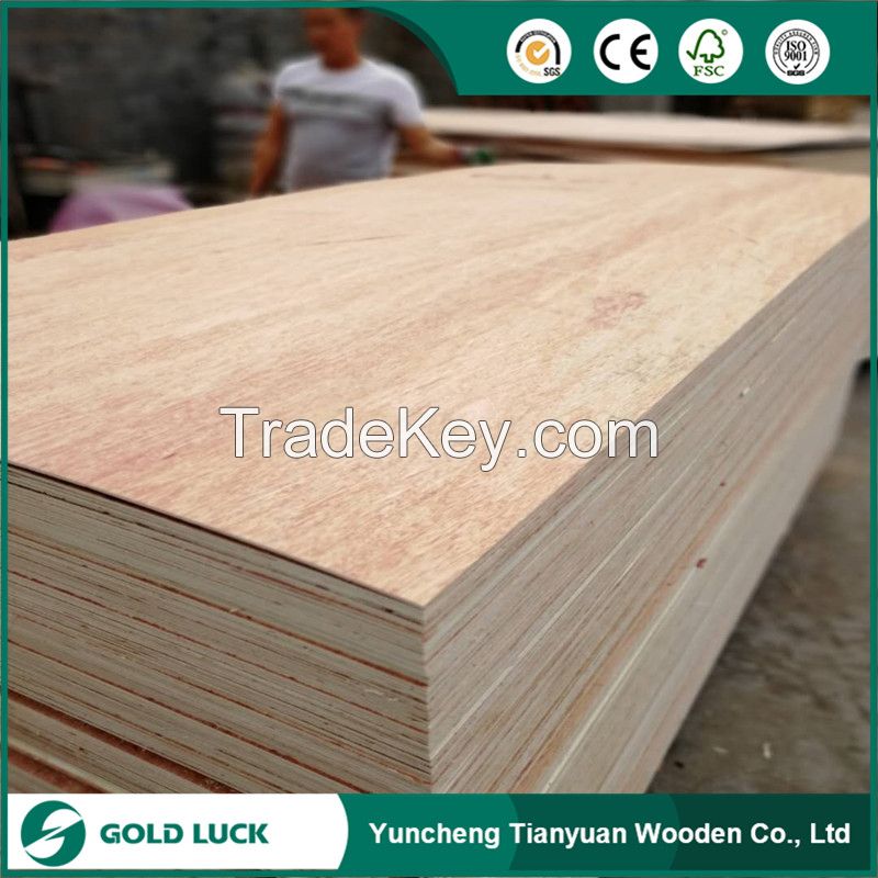 Excellent Quality Bintangor/Okoume Faced Commercial Plywood
