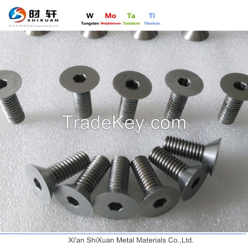 Micro M2.5 allen head tantalum screw