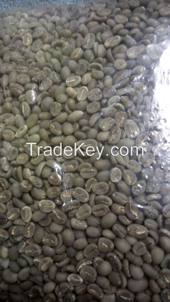 Java Robusta Coffee beans