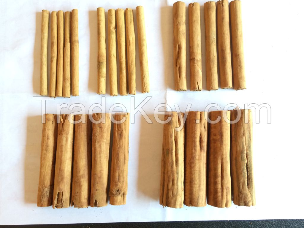 Cut cinnamon  and cinnamon powder 