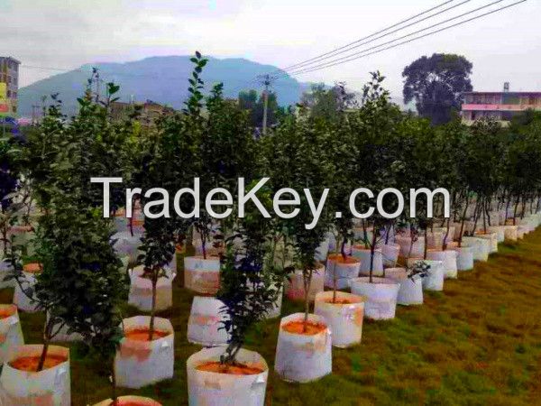 non-woven fabric plant grow bags