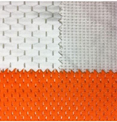 Eyelet Fabric