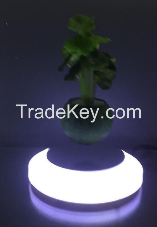 magnetic floating live bonsai tree with led light 0-300g