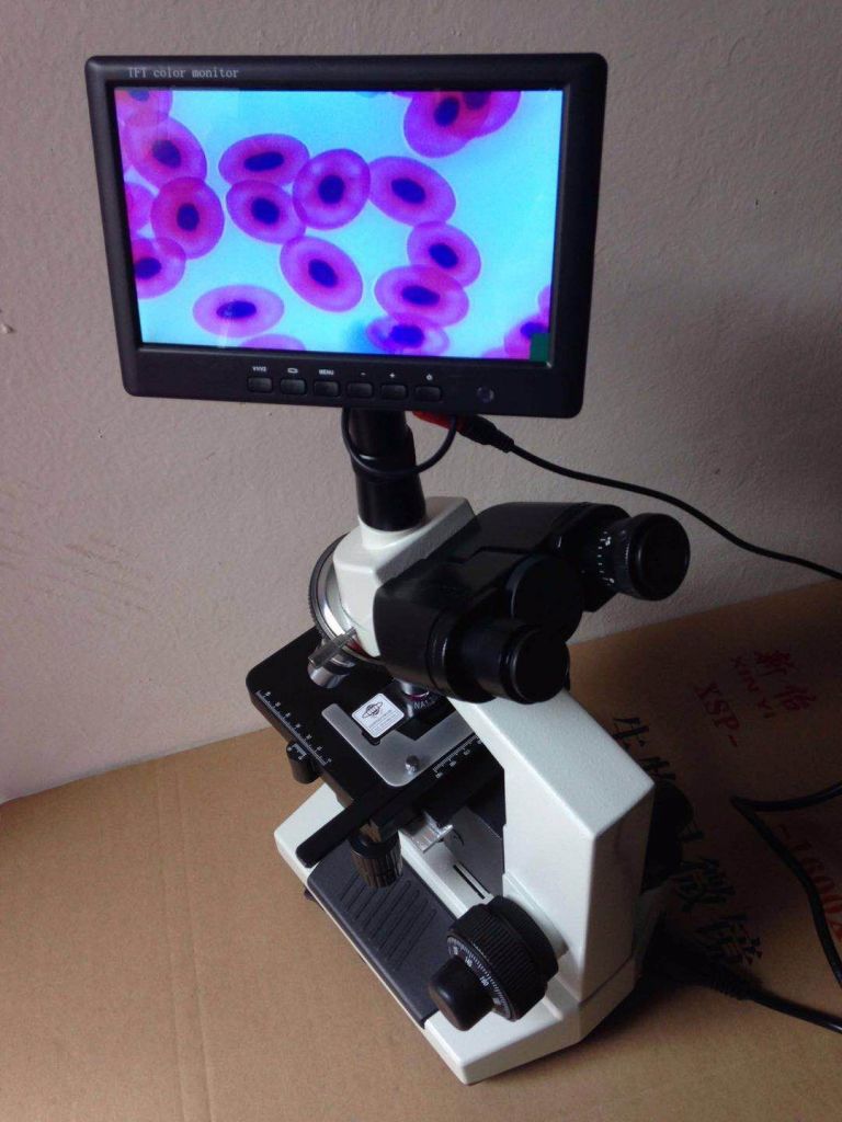 Biological Microscope