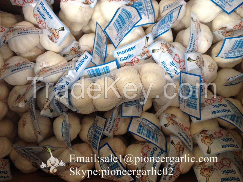 New Crop Chinese 5.5cm Pure White Fresh Garlic Small Packing In Mesh Bag