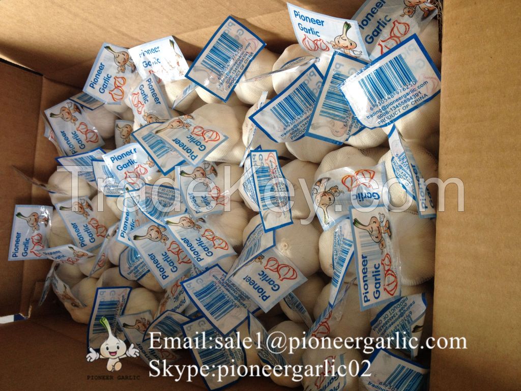 New Crop Chinese 5.5cm Pure White Fresh Garlic Small Packing In Mesh Bag