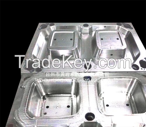 transparent disposable fastfood container plastic mould