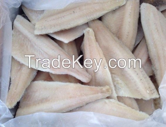 PIKE PERCH FILLET  