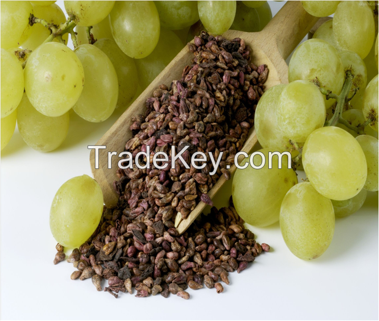 Pure Natural Grape Seed Extract Red Brown Powder