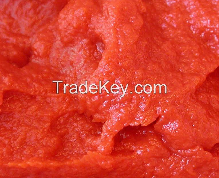  Canned tomato paste and tomato ketchup