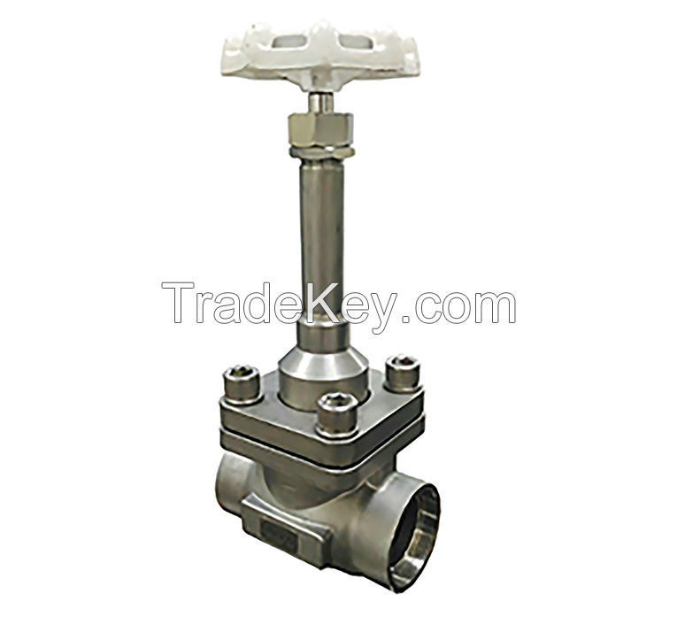 Cryogenic Globe Valve