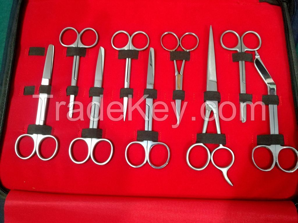 Surgical Kit containing different surgical instruments