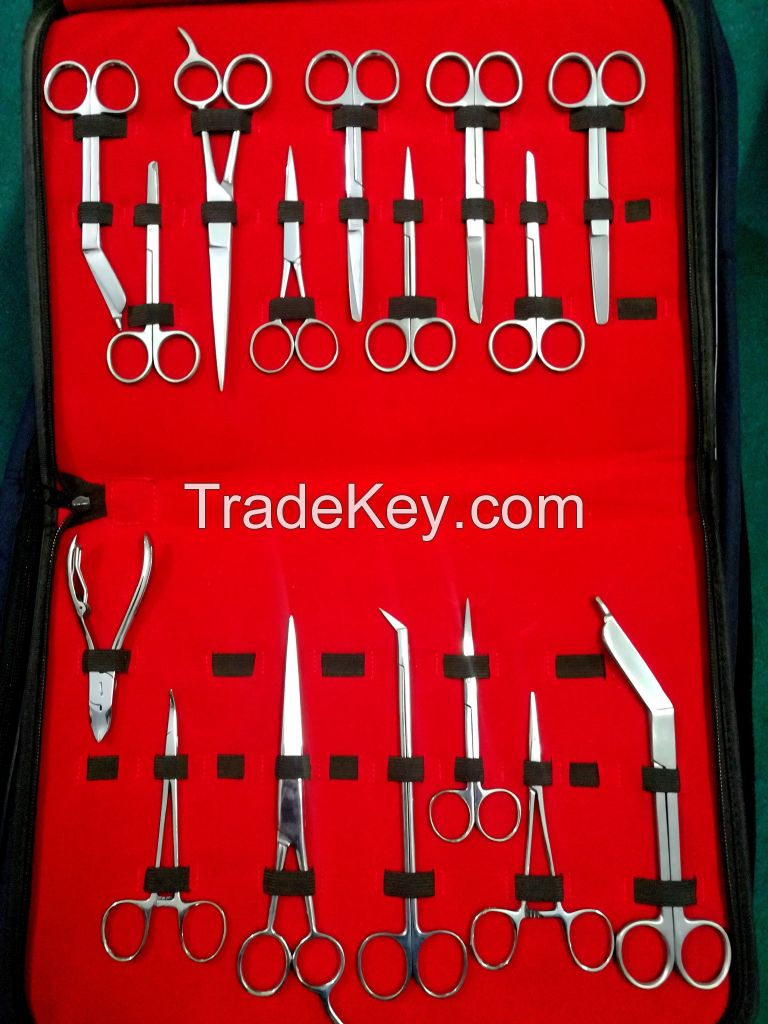 Surgical Kit containing different surgical instruments
