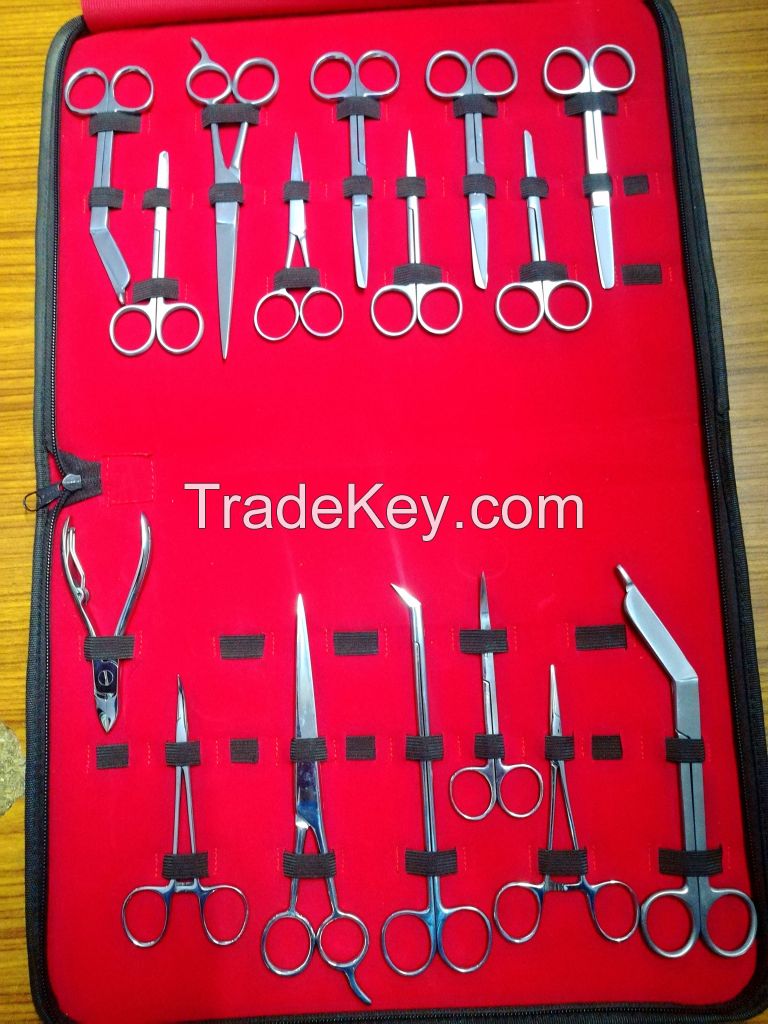 Surgical Kit containing different surgical instruments