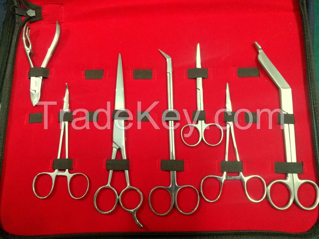 Surgical Kit containing different surgical instruments