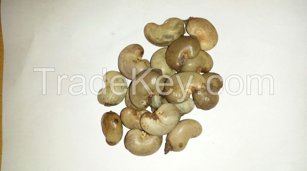 Raw Cashew Nuts