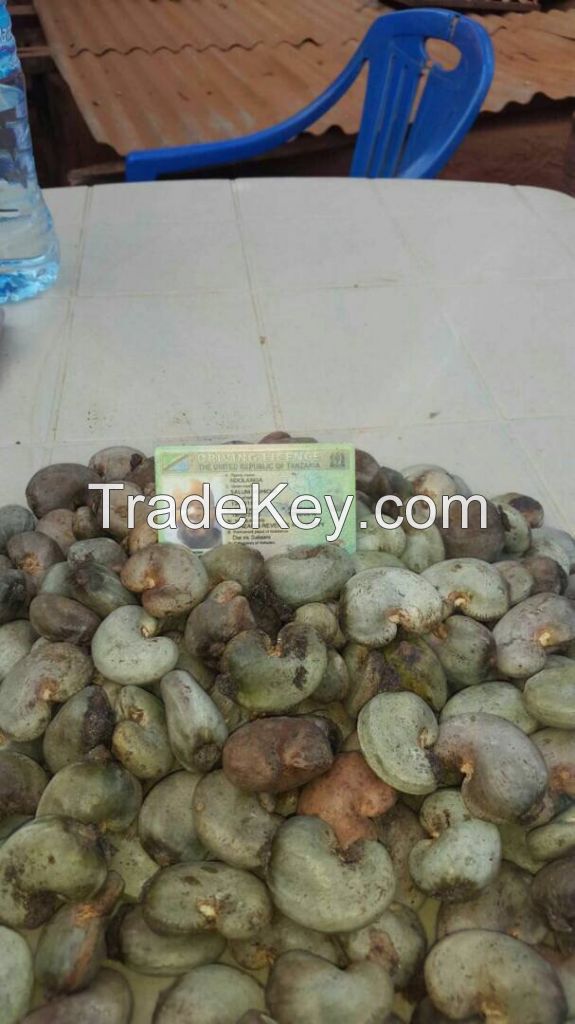 Raw cashew nuts 