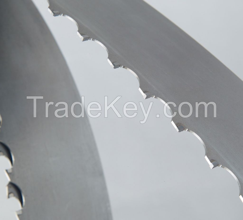 Alloy band saw blade