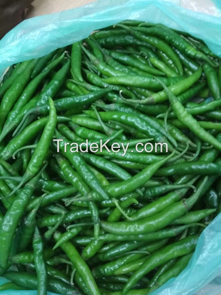 Fresh Green Chilly