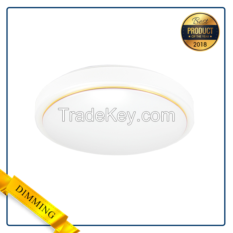 Led Ceiling Light