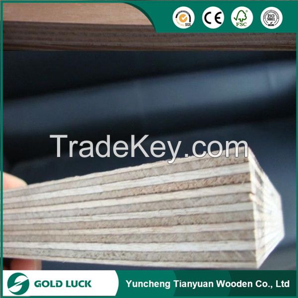 18mm Concrete Formwork Shuttering Plywood,Construction Plywood