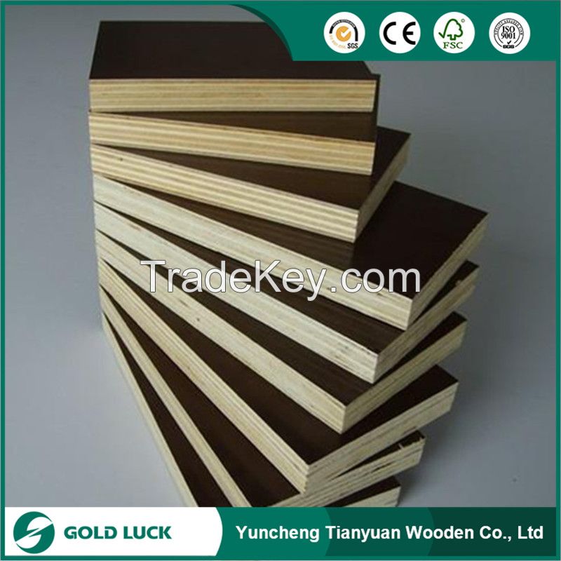 Finger Joint Core/Recycle Film Faced Plywood