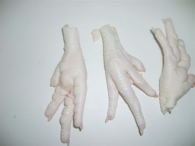 Chicken feet, paws, wing