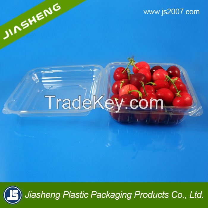 China Suppliers Biodegradable Food Grade Plastic Transparent Fresh Fruit Container