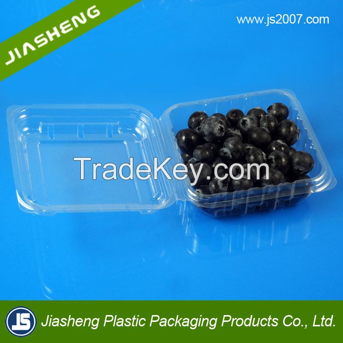 China Suppliers Disposable Food Grade Plastic Transparent Buleberry Container