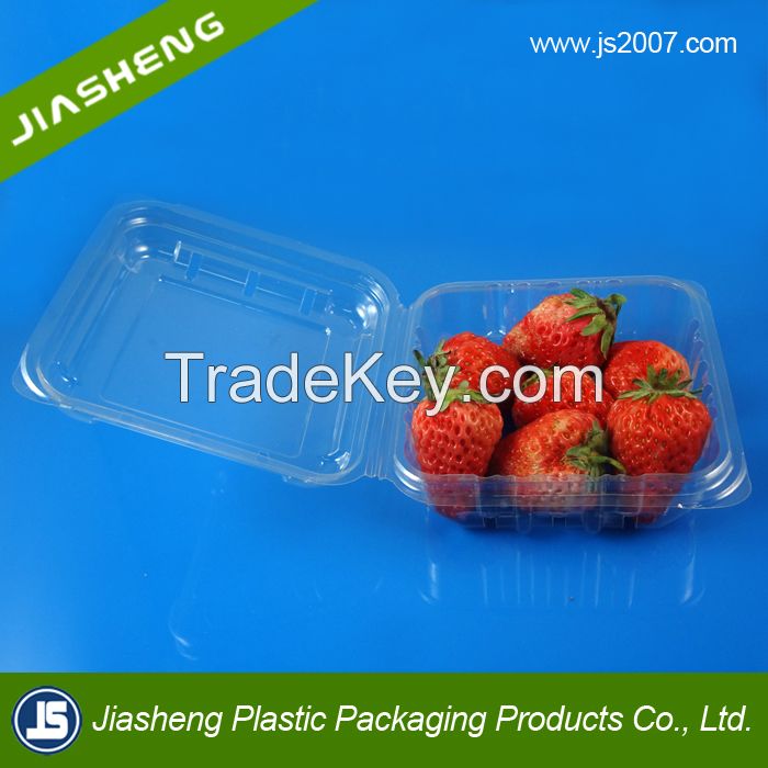 China Suppliers Disposable Food Grade Plastic Transparent Buleberry Container