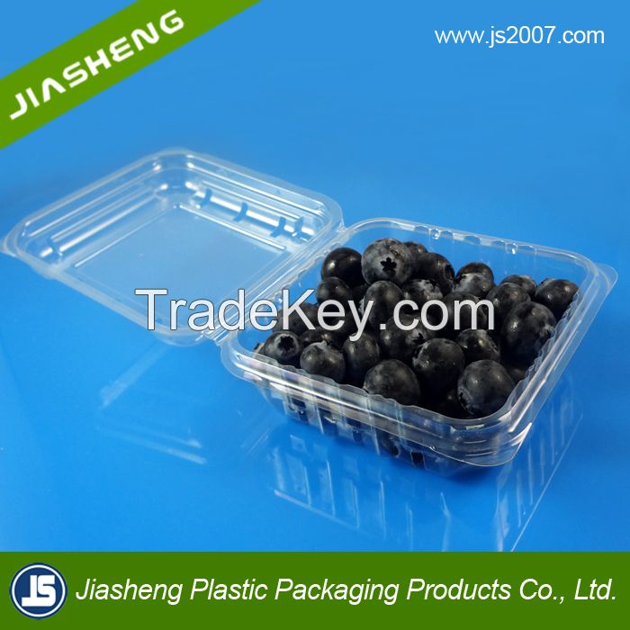 China Suppliers Disposable Food Grade Plastic Transparent Buleberry Container