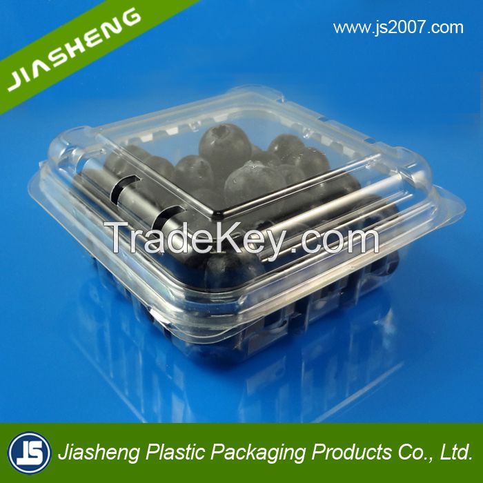 China Suppliers Disposable Food Grade Plastic Transparent Buleberry Container