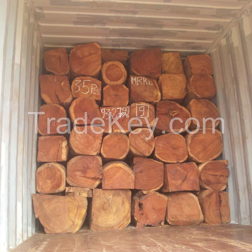 Kosso wood ,Scientific Name: Pterocarpus Erinaceus,Red Hapa