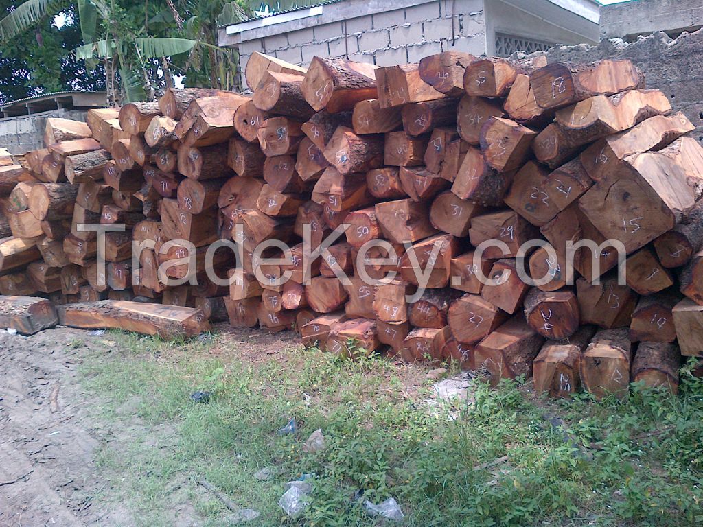 Kosso wood ,Scientific Name: Pterocarpus Erinaceus,Red Hapa