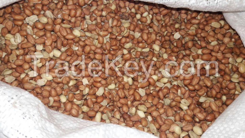 Peanut/ Groundnut