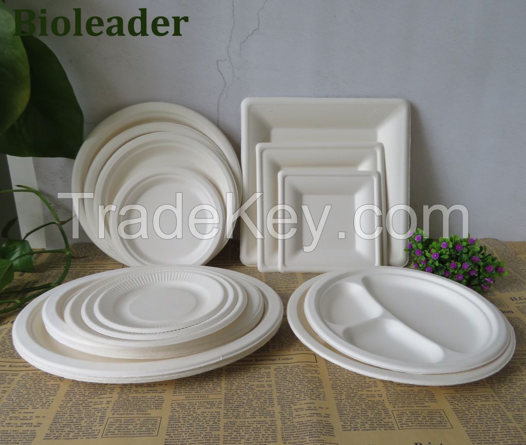100%Eco-friendly Hot Sale Stocked Microwavable 100% Biodegradable 6 Inch Disposable Sugarcane Bagasse Round Plate