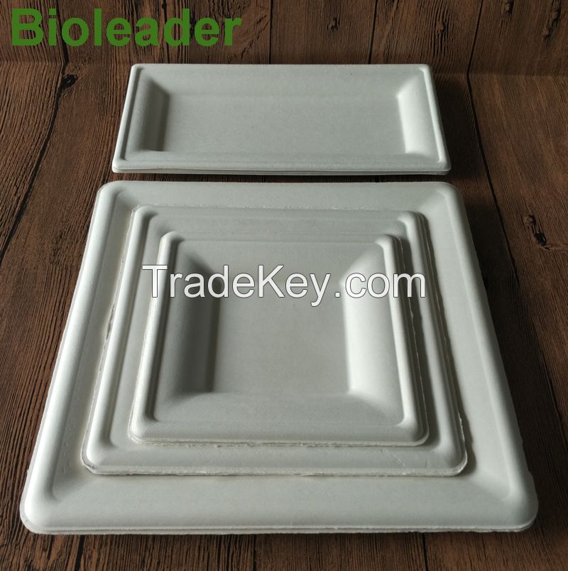100%Eco-friendly Hot Sale Stocked Microwavable 100% Biodegradable 6 Inch Disposable Sugarcane Bagasse Round Plate