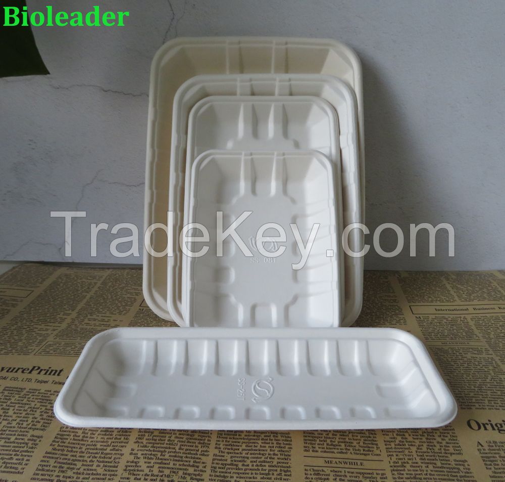High Quality Leakproof FDA Standard Biodegradable Sugarcane Bagasse Food Disposable Tray