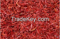 Dried Red Chili Pepper