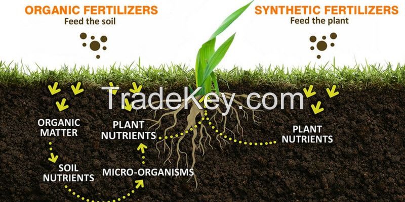 Organic Fertilizer